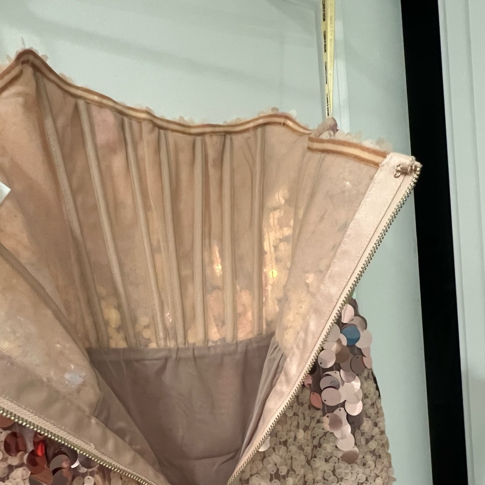 NWOT Bronx and Banco Farah Strapless Blush Gown Prom - Picture 13 of 14